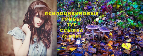 таблы Белокуриха