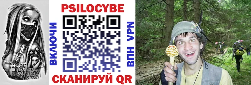 Галлюциногенные грибы Magic Shrooms  Кудрово 