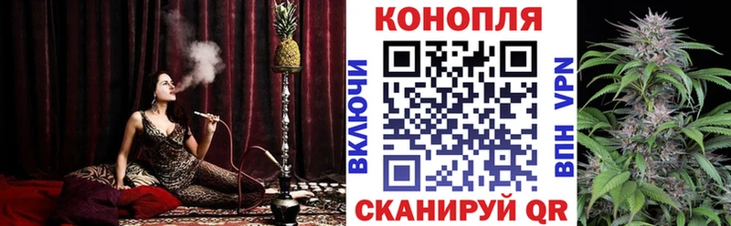 Конопля гибрид Кудрово